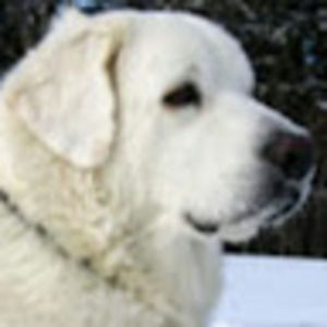 Meet your Posher, Katherine